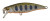 Воблер Pontoon21 PREFERENCE SHAD 55F-SR, 55 мм.,3.3 гр., 0.3-0.5м. P21-PSH55F-SR-A50