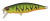 Воблер Pontoon21 PREFERENCE SHAD 55F-SR, 55 мм.,3.3 гр., 0.3-0.5м. P21-PSH55F-SR-A42