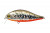 Воблер PONTOON21, Bet-A-Shad 83SP-SR, 83мм, 17.3 гр., 0.2-0.4 м. P21-BASH-83SP-SR-R53