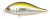 Воблер PONTOON21, Bet-A-Shad 63SP-SR, 63мм, 7.7 гр., 0.2-0.4 м. P21-BASH-63SP-SR-R60